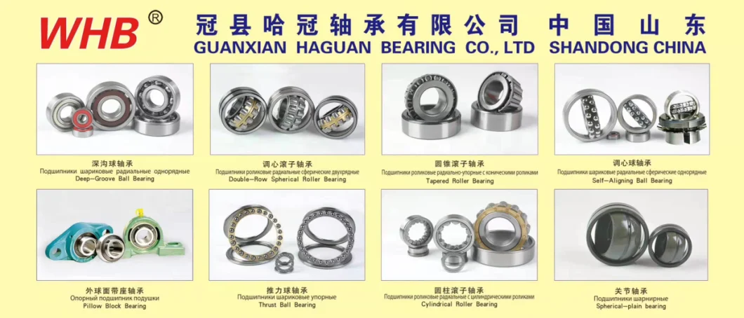 Small Bearing High Speed Low Noise 6000 6001 6002 6003 6004 6005 Zz RS 2RS Deep Groove Ball Bearing China Factory Bearing 6005 6005zz Deep Groove Ball Bearing