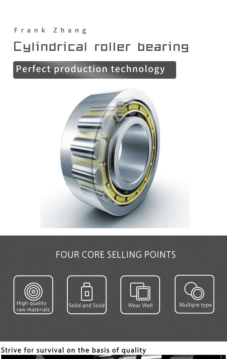 Cylindrical Roller Bearing Single Row 300*460*74mm Nu1060